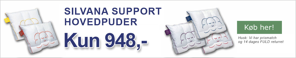 Silvana support