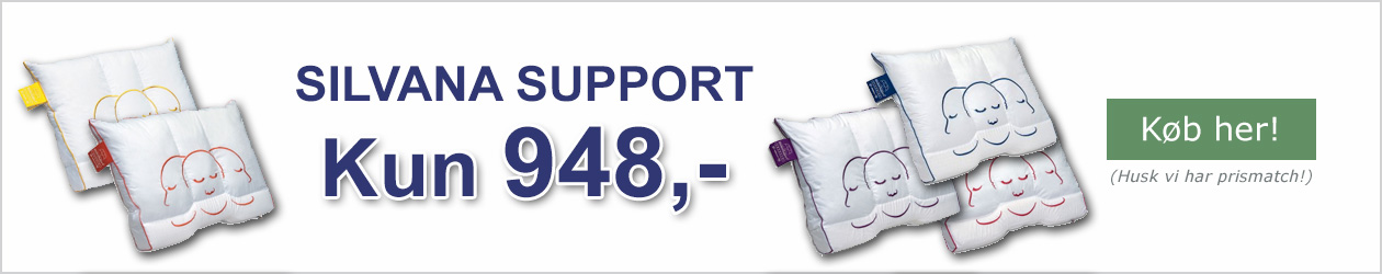 Silvana support
